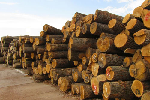 logs